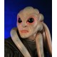 Star Wars Bust 1/6 Kit Fisto 18 cm